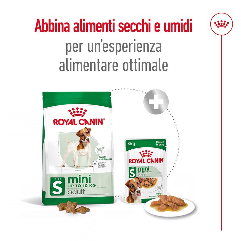 2x8kg Royal Canin Mini Adult - Crocchette per Cani 2x8kg Royal Canin Mini Adult - Crocchette per Cani